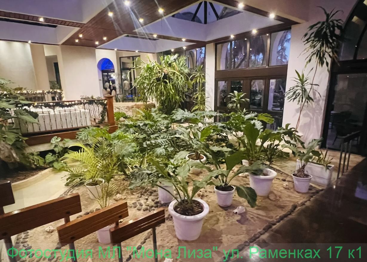 Отель, номер и территория отеля Лас Америкас