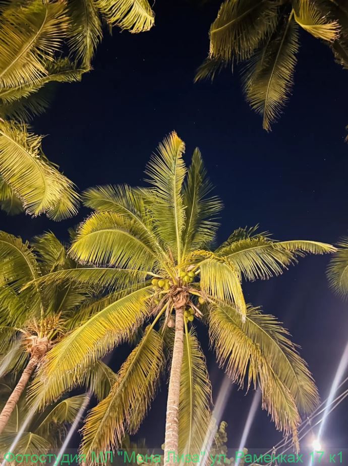 Отель, номер и территория отеля Лас Америкас