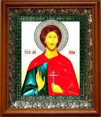 Икона Инна Новодунский в киоте с басмой Виноградная Лоза (UV-печать)(30427)