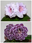 ЕН-Платье Герды/ЕН-Черника на Снегу