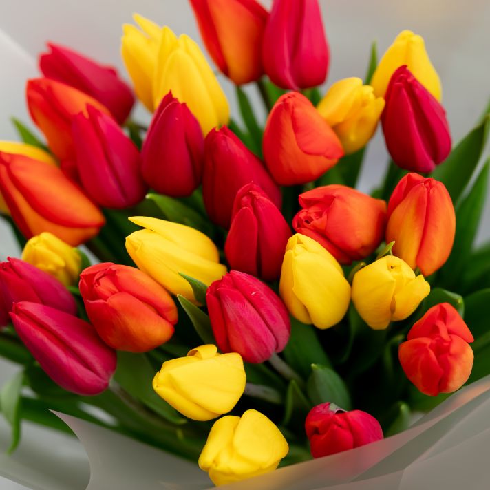 Яркий букет из тюльпанов микс от 11шт