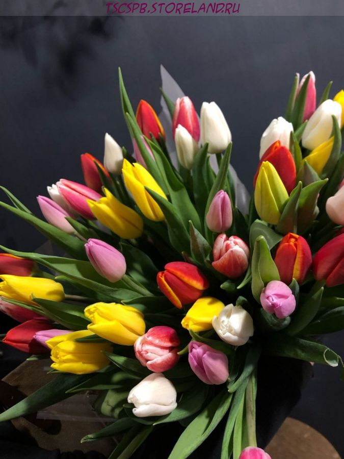 Тюльпаны 17 шт в авторской упаковке