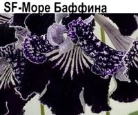 SF-Море Баффина