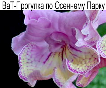 ВаТ-Прогулка по Осеннему Парку (Валькова)