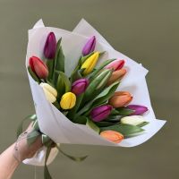 Тюльпаны микс в упаковке (от 11 шт)