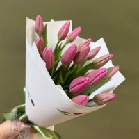 Тюльпаны розовые в упаковке (от 11 шт)