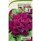 Petuniya-mahrovaya-Duo-F1-Burgundi-5-dr-PanAmerican-Sadovita