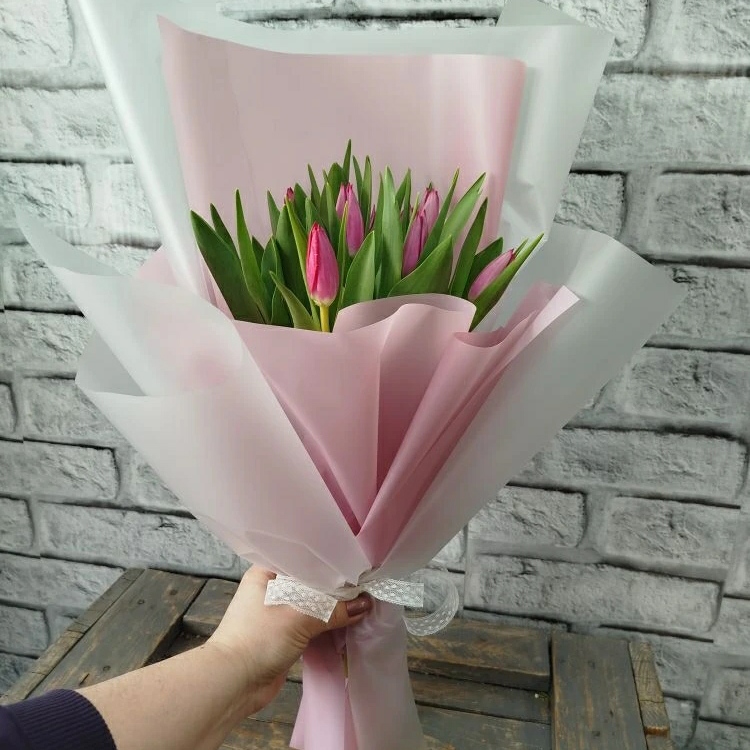 Тюльпаны 9/11 шт