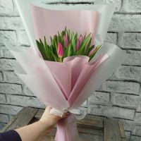 Тюльпаны 9/11 шт