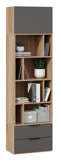 Шкаф комбинированный (366) «Порто» Исп.2 - ТД-393.07.20 Исп.2 Яблоня Беллуно, Графит софт