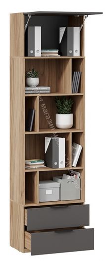 Шкаф комбинированный (366) «Порто» Исп.2 - ТД-393.07.20 Исп.2 Яблоня Беллуно, Графит софт