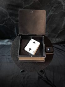 #МАГУ Весы в виде книги