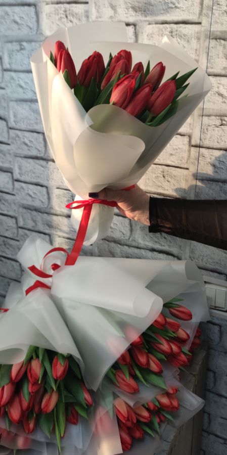 15 Краснодарских тюльпанов в пленке