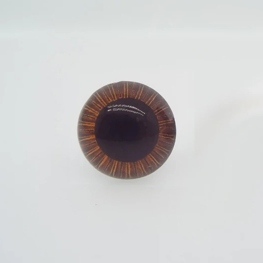 Глазки для игрушек "Живые с лучиками" пластик с фиксатором  КОРИЧНЕВЫЙ Разные размеры (SDS-brown)