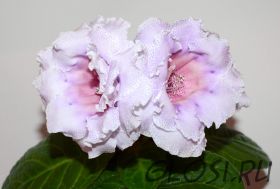 ЕН-Платье Герды (сел.Е.Николаева) Новинка 2026!