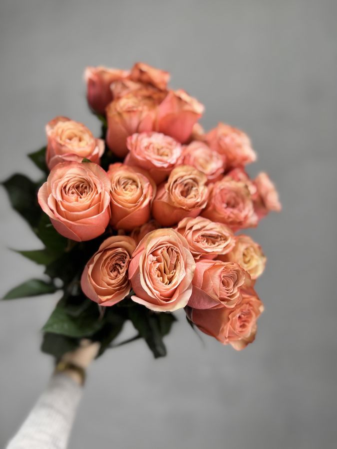 Роза Кахала