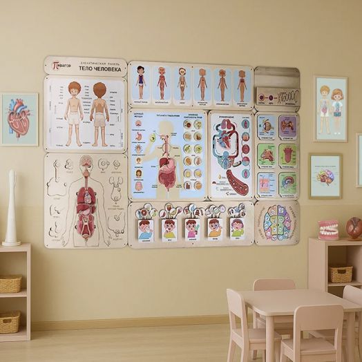 Дидактическая панель Тело человека