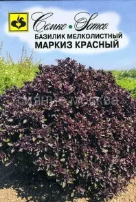 Базилик Маркиз красный (Семко)