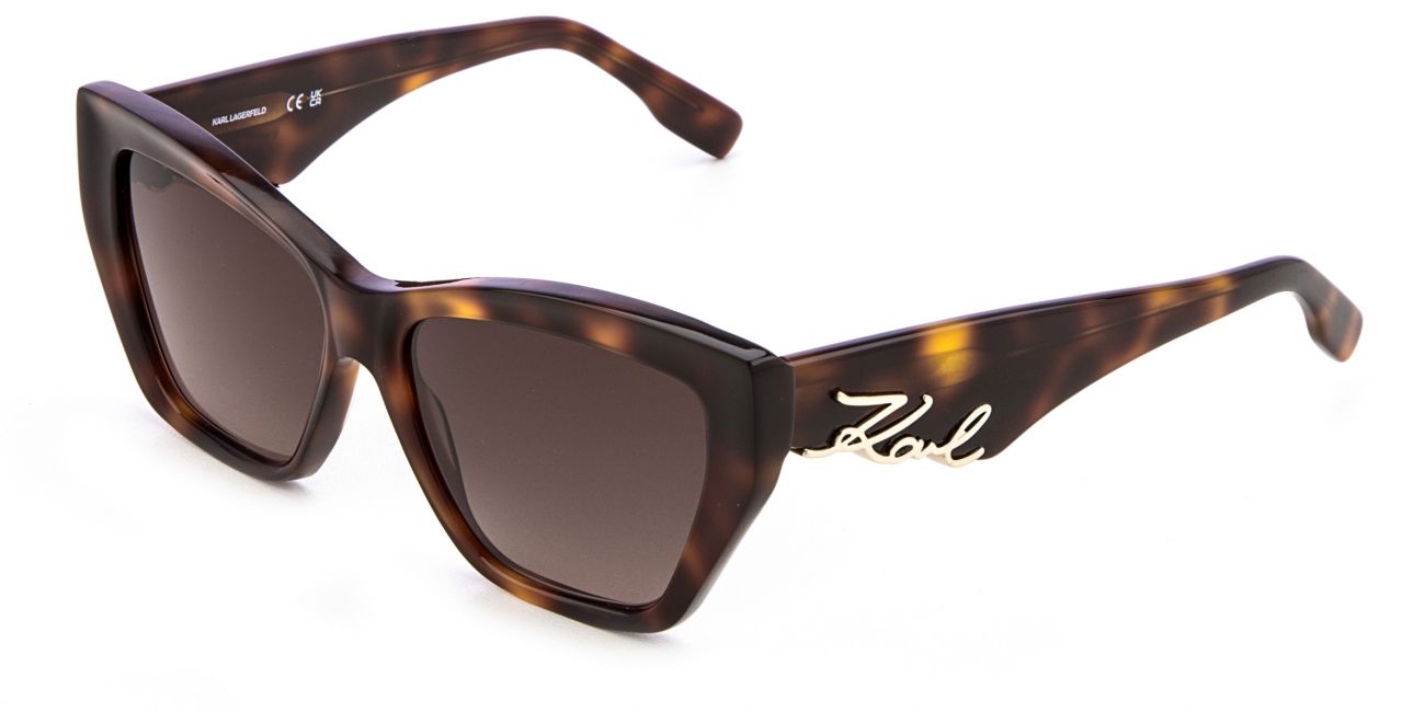Karl Lagerfeld KL 6179S 230