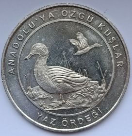 Мраморный чирок 1 куруш Турция 2018