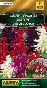 Сальвия Аморе, смесь (Аэлита)