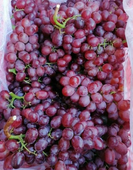 Коробка винограда Кримсон 4,5 кг