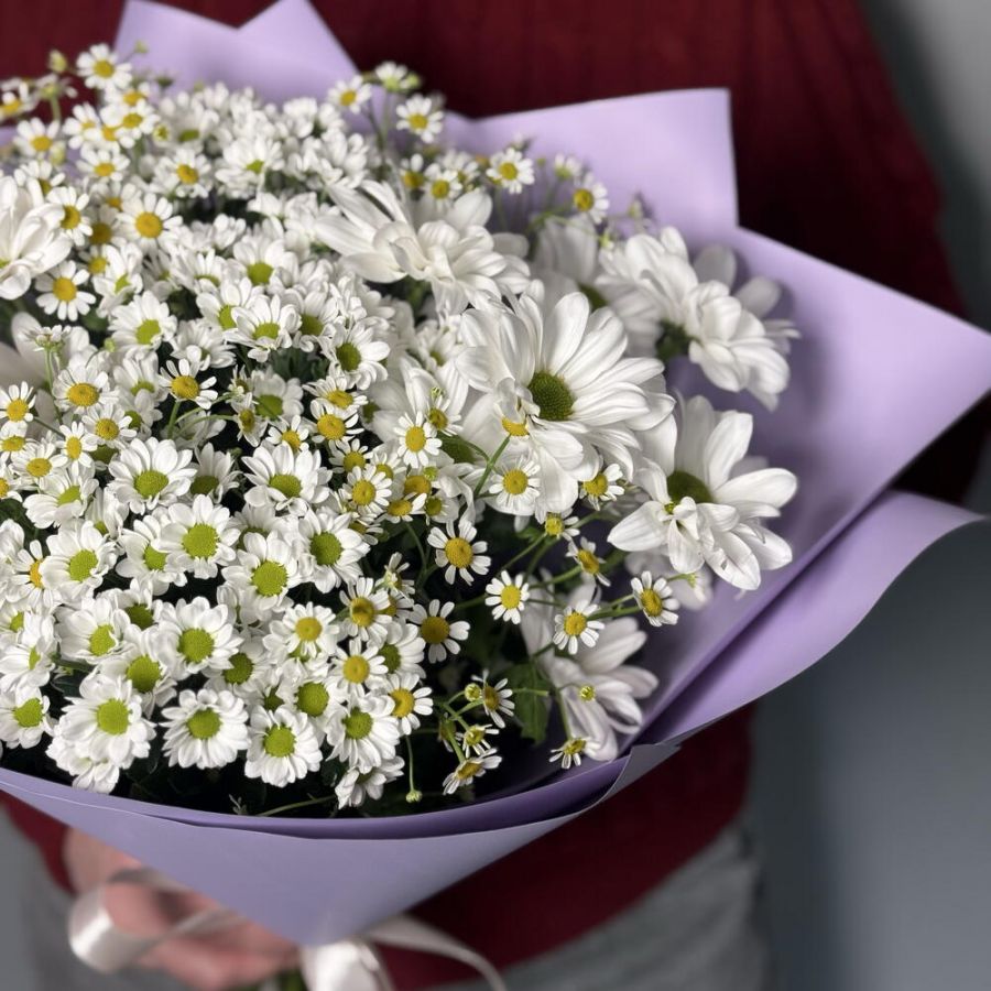 Микс из ромашек размер S