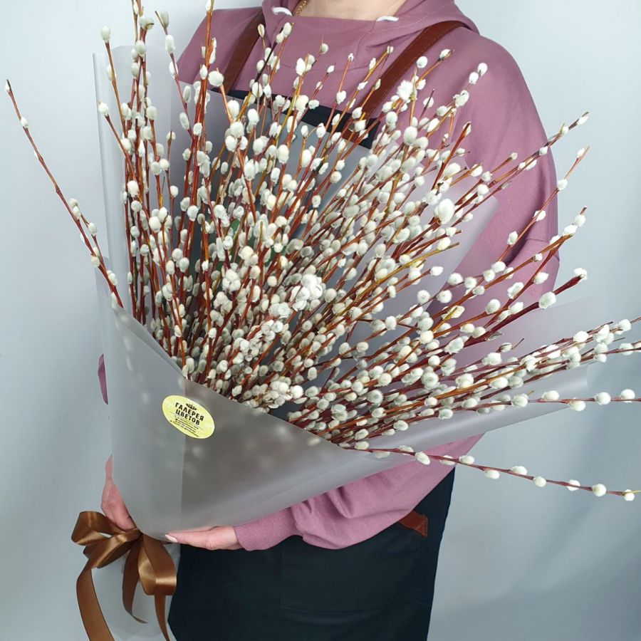 Эко букет из 101 вербы