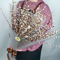 Эко букет из 101 вербы