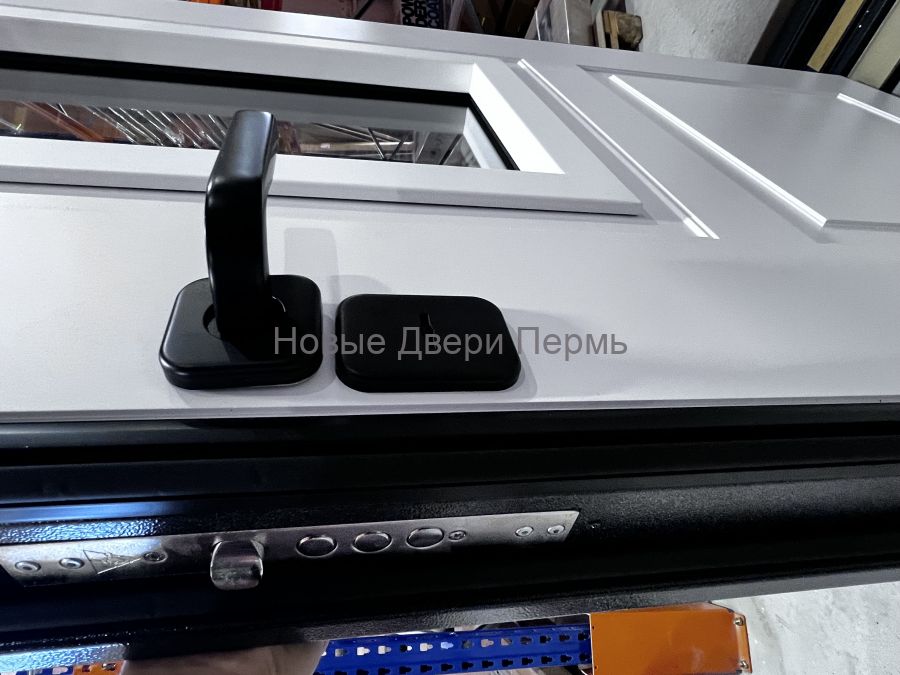 Уличная дверь Термо со стеклопакетом Винтер Панорама