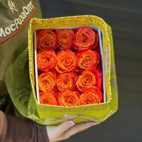 Эквадор-25 шт.