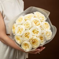 Пионовидная роза 15шт (сорт Кендл Лайт)