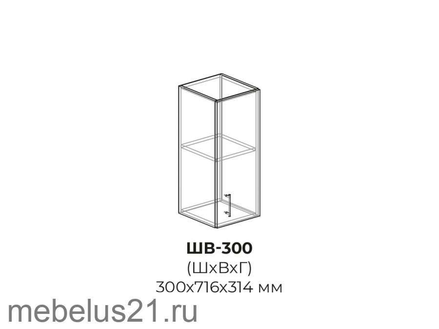 Модуль ШВ300