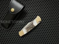 Нож Buck 110 Genuine Stag Folding Hunter