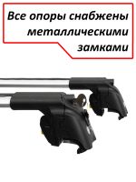 Багажник на Тенет Т8 (Tenet T8), на интегрированные рейлинги, Turtle Air 2 Go!, серебристые дуги (Подрезан под размер)