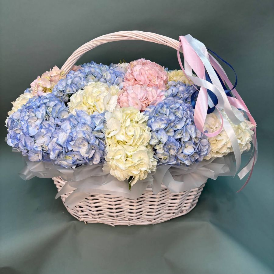 Корзина из 27 гортензий