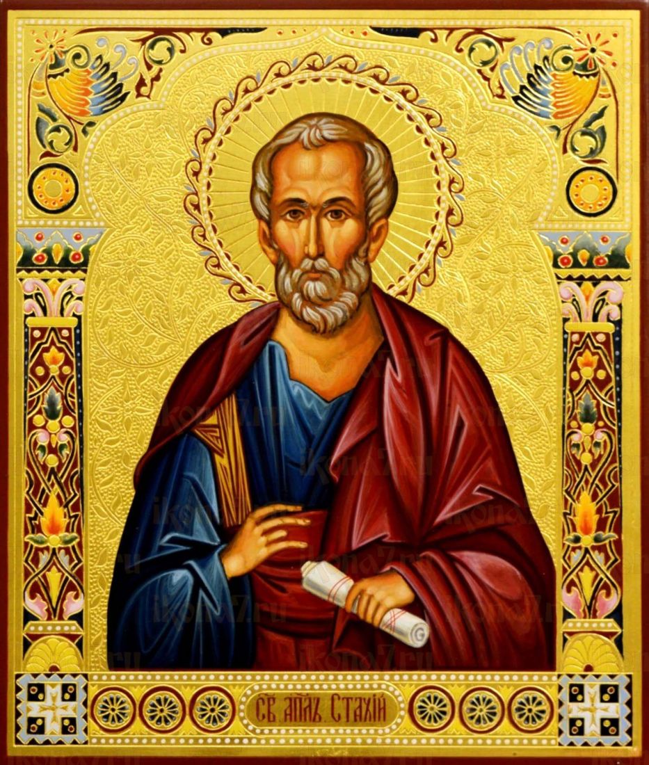 Стахий апостол Византийский рукописная Икона на липовой доске (22948)