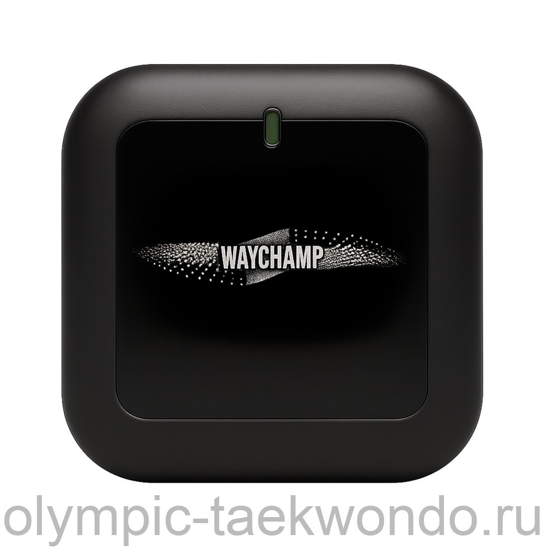 ПРИЕМНИК (РЕСИВЕР) электронный WAYCHAMP PROFESSIONAL