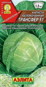 Капуста Трансфер Аэлита