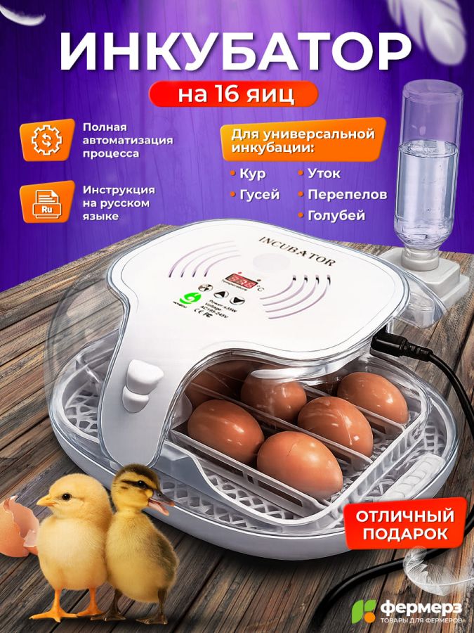 Инкубатор Эйч-эйч-ди (HHD) автоматический на 16 яиц с овоскопом