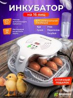 Инкубатор Эйч-эйч-ди (HHD) автоматический на 16 яиц с овоскопом