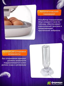 Инкубатор Эйч-эйч-ди (HHD) автоматический на 16 яиц с овоскопом