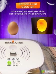 Инкубатор Эйч-эйч-ди (HHD) автоматический на 16 яиц с овоскопом