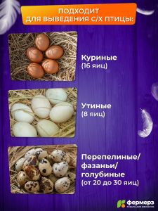 Инкубатор Эйч-эйч-ди (HHD) автоматический на 16 яиц с овоскопом