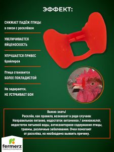 Очки от расклева