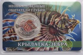 Крылатка-зебра 10 лье Россия 2026