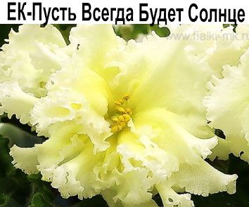 ЕК-Пусть Всегда Будет Солнце (Коршунова)  НОВИНКА