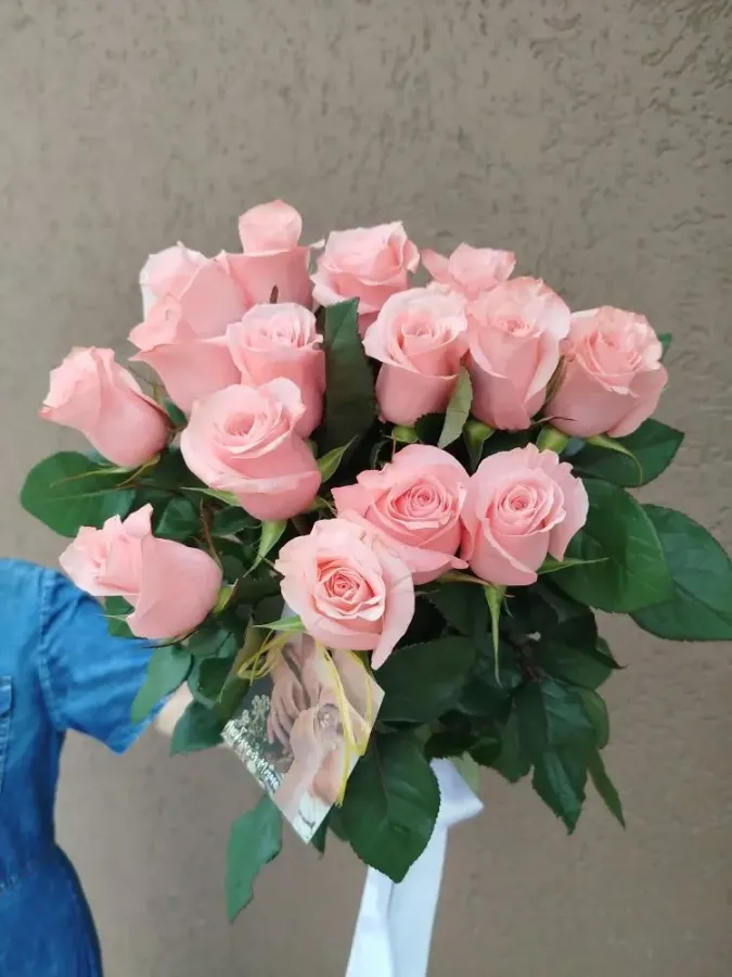 Роза Эквадор БиСвит 70см