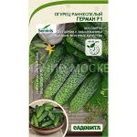 Ogurec-German-F1-5sht-Seminis-Sadovita