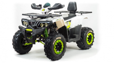 Квадроцикл MOTOLAND ATV 200 Wild Track
